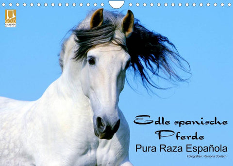 Edle spanische Pferde - Pura Raza Espanola (Wandkalender 2022 DIN A4 quer)