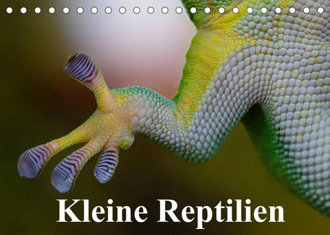 Kleine Reptilien (Tischkalender 2022 DIN A5 quer)