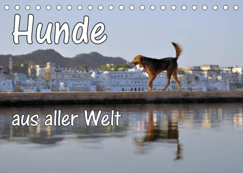 Hunde aus aller Welt (Tischkalender 2022 DIN A5 quer)