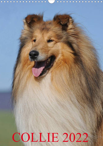 Collie 2022 (Wandkalender 2022 DIN A3 hoch)