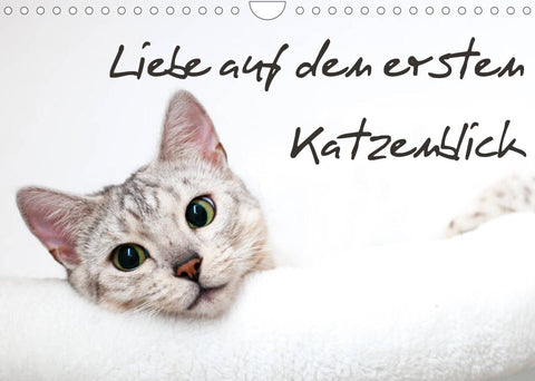 Liebe auf den ersten Katzenblick (Wandkalender 2022 DIN A4 quer)