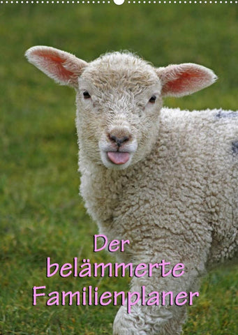 Der belämmerte Familienplaner (Wandkalender 2022 DIN A2 hoch)
