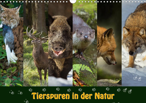 Tierspuren in der Natur (Wandkalender 2022 DIN A3 quer)