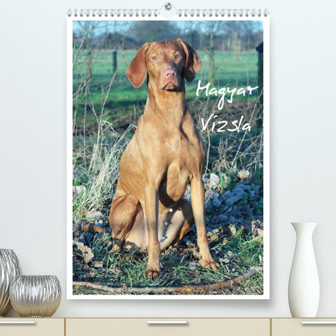 Magyar Vizsla (Premium, hochwertiger DIN A2 Wandkalender 2022, Kunstdruck in Hochglanz)