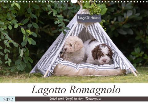 Lagotto Romagnolo - Spiel und Spaß in der Welpenzeit (Wandkalender 2022 DIN A3 quer)