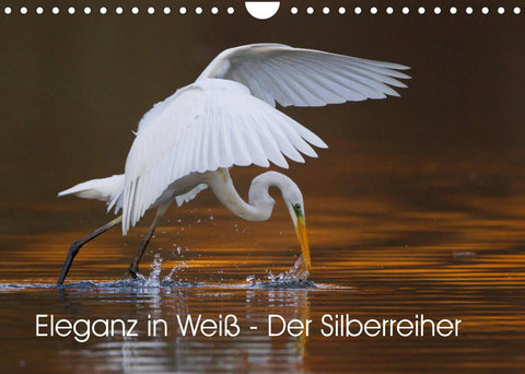 Eleganz in Weiß - Der Silberreiher (Wandkalender 2022 DIN A4 quer)