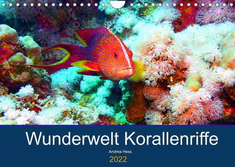 Wunderwelt Korallenriffe (Wandkalender 2022 DIN A4 quer)