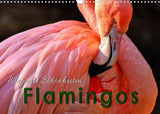 Flamingos - elegante Schönheiten (Wandkalender 2022 DIN A