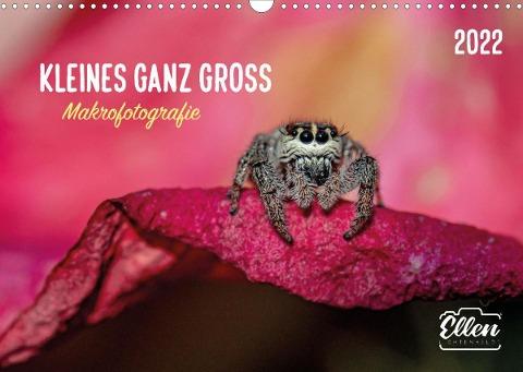 Kleines ganz gross - Makrofotografie (Wandkalender 2022 DIN A3 quer)