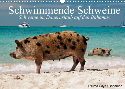 Schwimmende Schweine (Wandkalender 2022 DIN A3 quer)