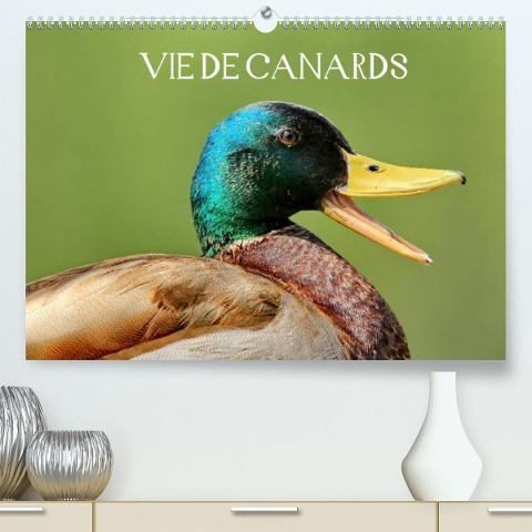 Vie de canards (Premium, hochwertiger DIN A2 Wandkalender 2022, Kunstdruck in Hochglanz)