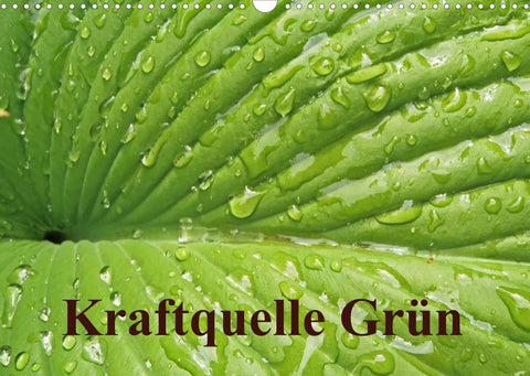 Kraftquelle Grün (Wandkalender 2022 DIN A3 quer)