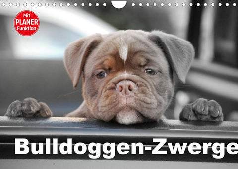 Bulldoggen-Zwerge (Wandkalender 2022 DIN A4 quer)