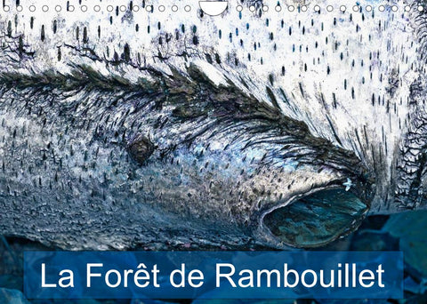 La forêt de Rambouillet (Calendrier mural 2022 DIN A4 horizontal)