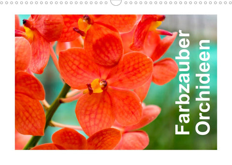 Farbzauber Orchideen (Wandkalender 2022 DIN A3 quer)