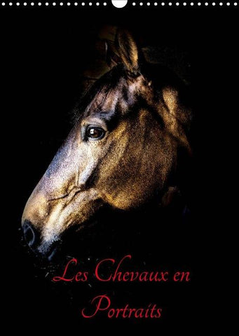 Chevaux en Portraits (Calendrier mural 2022 DIN A3 vertical)