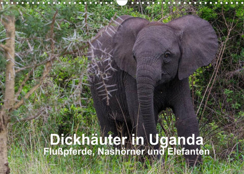 Dickhäuter in Uganda - Flußpferde, Nashörner und Elefanten (Wandkalender 2022 DIN A3 quer)
