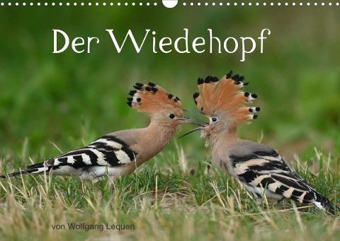 Der Wiedehopf (Wandkalender 2022 DIN A3 quer)