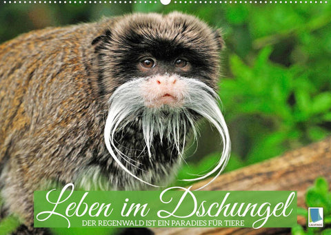 Leben im Urwald: ein Paradies für Tiere (Wandkalender 2022 DIN A2 quer)