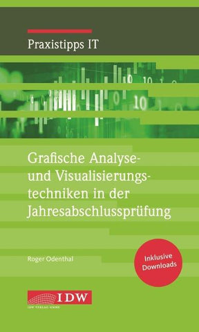 Data Visualization in der Wirtschaftsprüfung