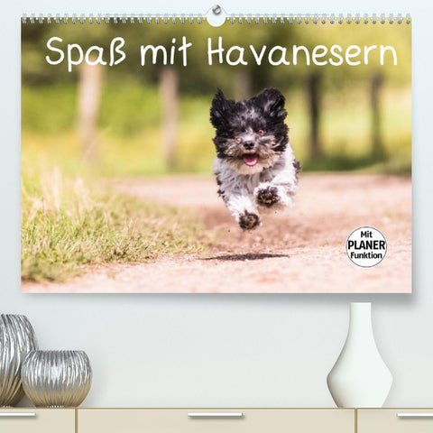 Spaß mit Havanesern (Premium, hochwertiger DIN A2 Wandkalender 2022, Kunstdruck in Hochglanz)