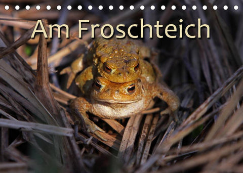 Am Froschteich (Tischkalender 2022 DIN A5 quer)