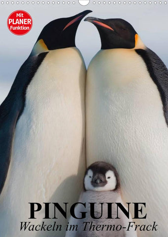 Pinguine. Wackeln im Thermo-Frack (Wandkalender 2022 DIN A3 hoch)