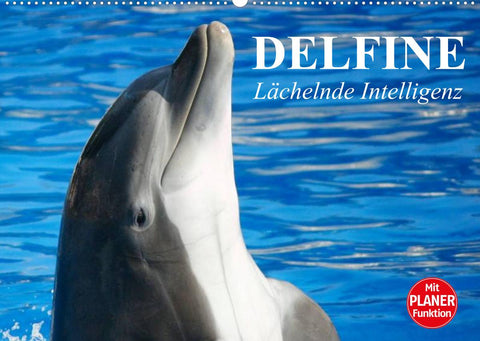 Delfine - Lächelnde Intelligenz (Wandkalender 2022 DIN A2 quer)