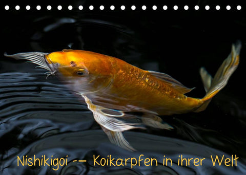 Nishikigoi – Koikarpfen in ihrer Welt (Tischkalender 2022 DIN A5 quer)