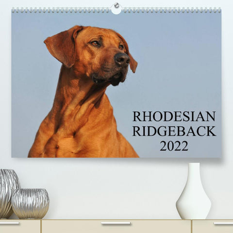 Rhodesian Ridgeback 2022 (Premium, hochwertiger DIN A2 Wandkalender 2022, Kunstdruck in Hochglanz)