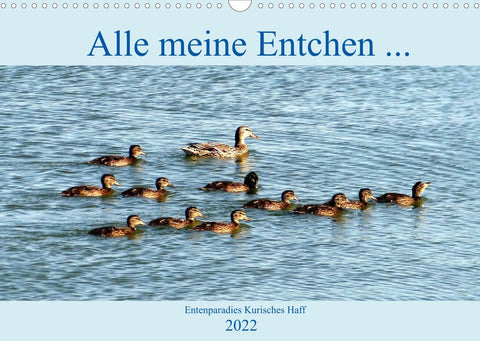 Alle meine Entchen ... Entenparadies Kurisches Haff (Wandkalender 2022 DIN A3 quer)