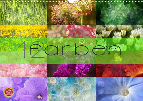 12 Farben (Wandkalender 2022 DIN A3 quer)
