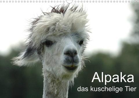 Alpaka, das kuschelige Tier (Wandkalender 2022 DIN A3 quer)
