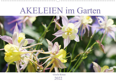 Akeleien im Garten (Wandkalender 2022 DIN A2 quer)