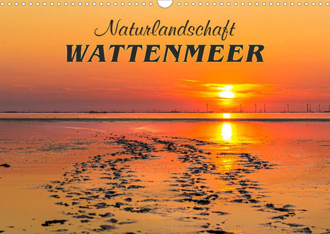 Naturlandschaft WATTENMEER (Wandkalender 2022 DIN A3 quer)