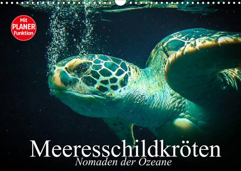 Meeresschildkröten. Nomaden der Ozeane (Wandkalender 2022 DIN A3 quer)