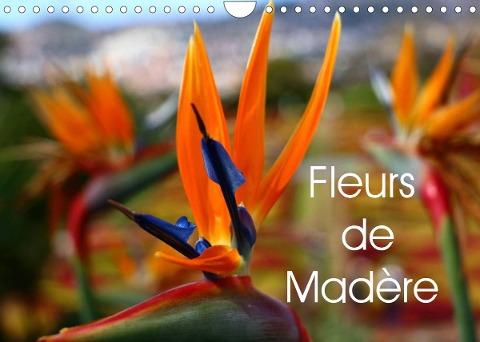 Fleurs de Madère (Calendrier mural 2022 DIN A4 horizontal)