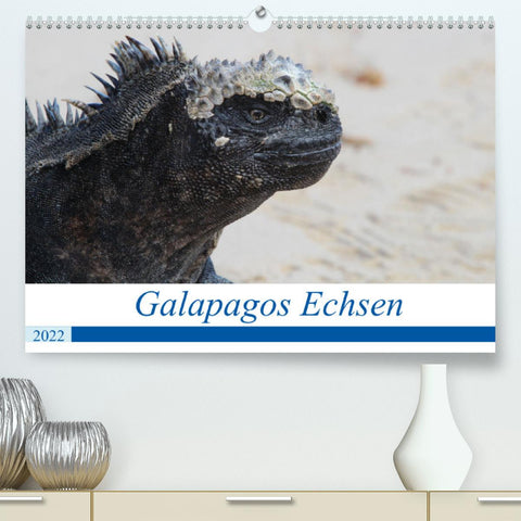 Galapagos Echsen (Premium, hochwertiger DIN A2 Wandkalender 2022, Kunstdruck in Hochglanz)