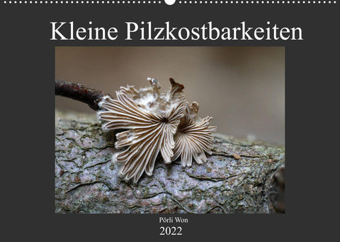 Kleine Pilzkostbarkeiten (Wandkalender 2022 DIN A2 quer)