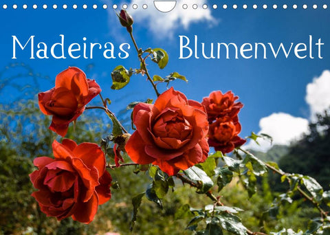 Madeiras Blumenwelt (Wandkalender 2022 DIN A4 quer)