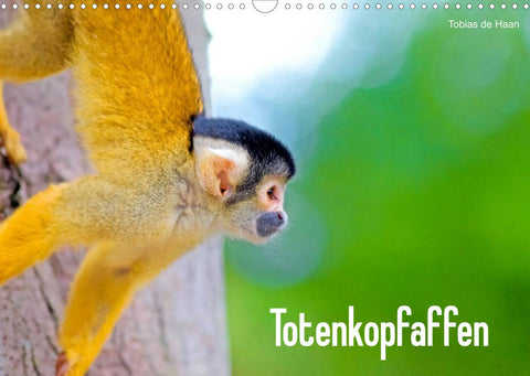 Totenkopfaffen (Wandkalender 2022 DIN A3 quer)