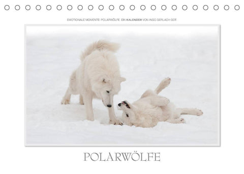 Emotionale Momente: Polarwölfe. / CH-Version (Tischkalender 2022 DIN A5 quer)