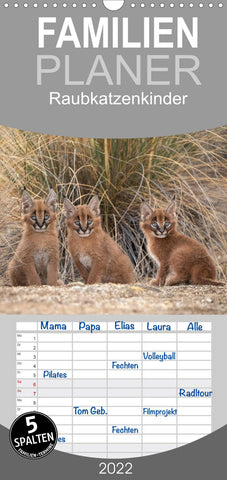 Familienplaner Raubkatzenkinder (Wandkalender 2022 , 21 cm x 45 cm, hoch)