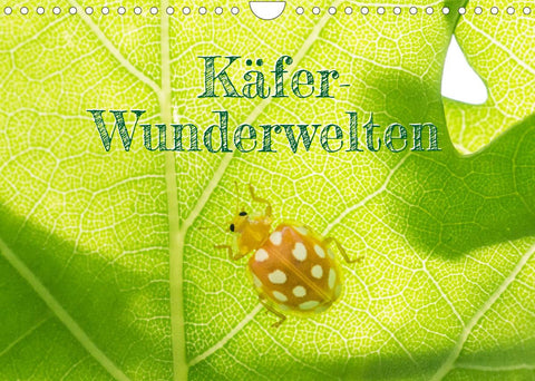 Käfer-Wunderwelten (Wandkalender 2022 DIN A4 quer)