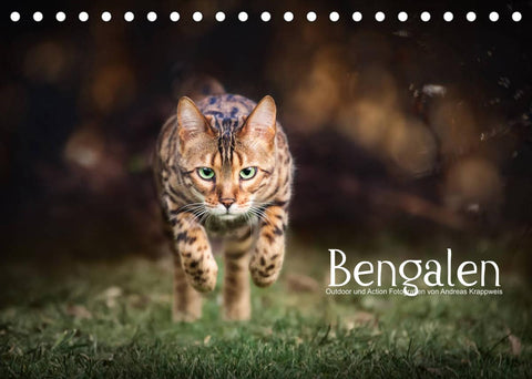 Bengalen Outdoor und Action (Tischkalender 2022 DIN A5 quer)