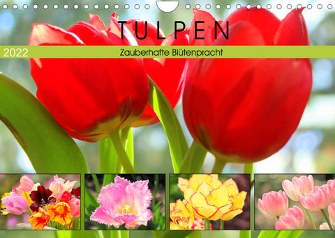 Tulpen. Zauberhafte Blütenpracht (Wandkalender 2022 DIN A4 quer)