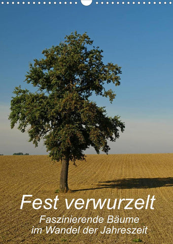 Fest verwurzelt - Faszinierende Bäume im Wandel der Jahreszeit (Wandkalender 2022 DIN A3 hoch)