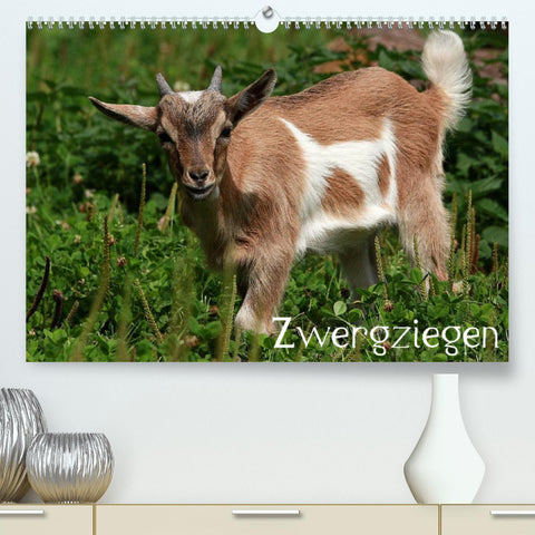 Zwergziegen (Premium, hochwertiger DIN A2 Wandkalender 2022, Kunstdruck in Hochglanz)
