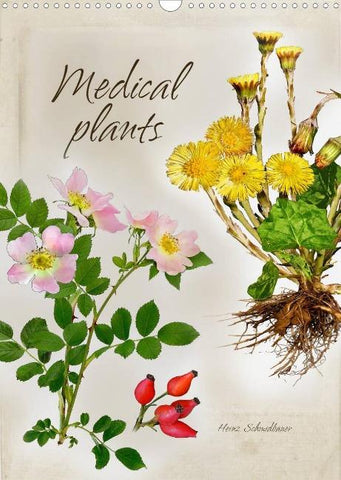 Medical plants (Wall Calendar 2022 DIN A3 Portrait)