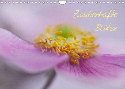Zauberhafte Blüten (Wandkalender 2022 DIN A4 quer)